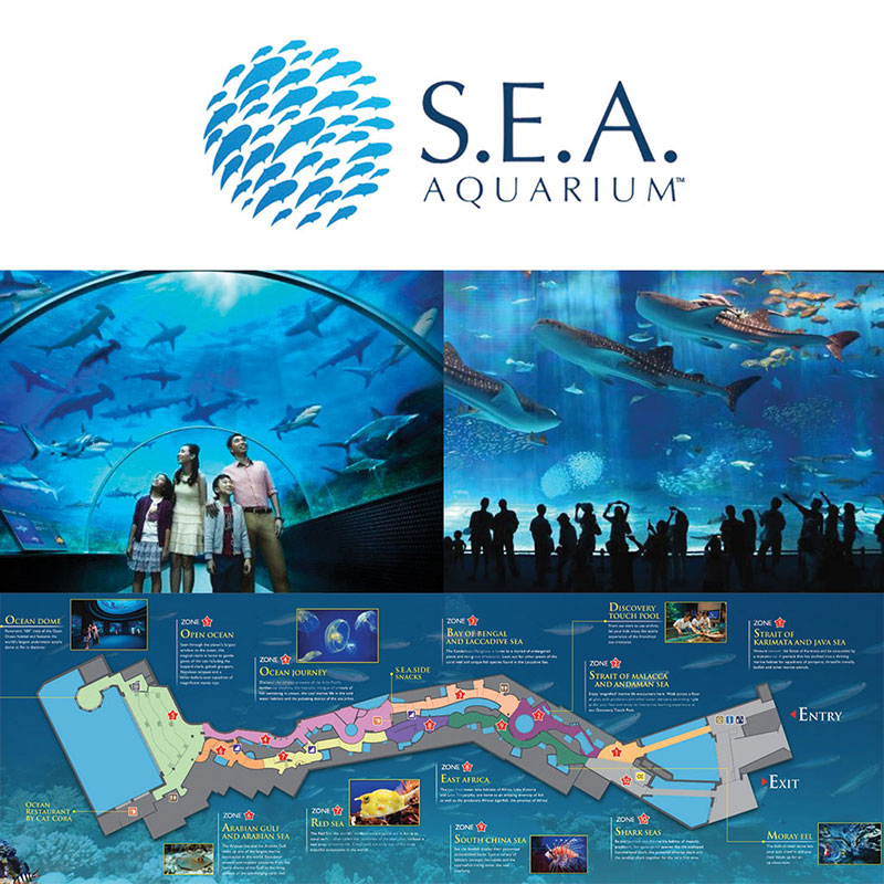 SEA AQUARIUM SINGAPORE (CHILDREN)