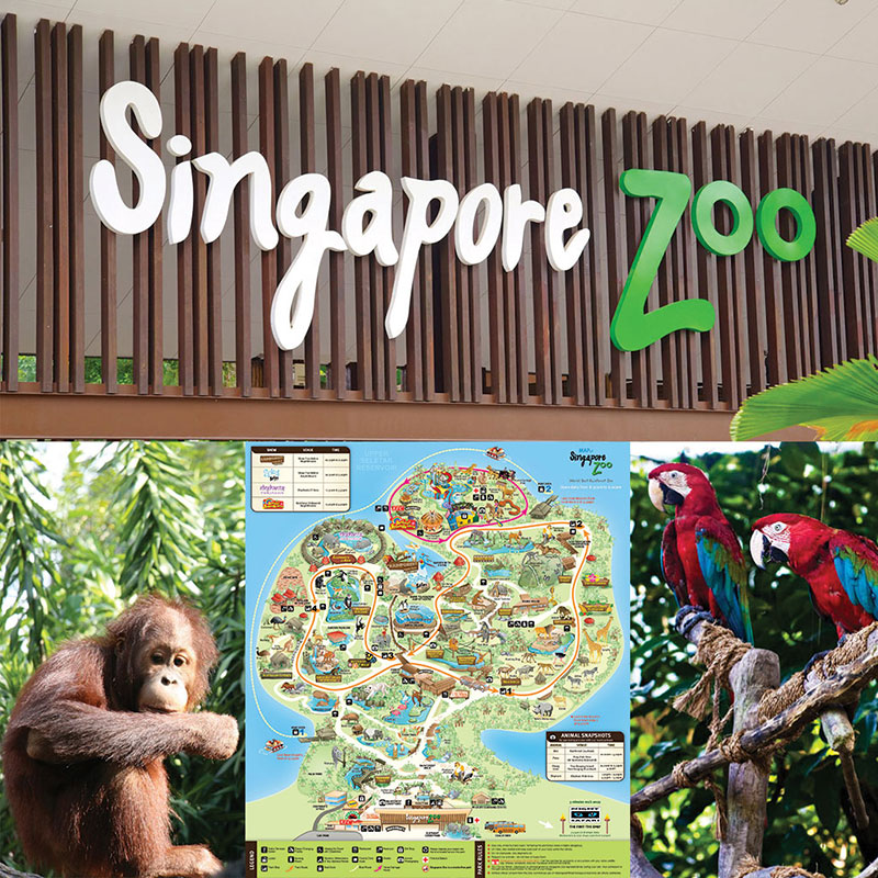 SINGAPORE ZOO (ADULT)